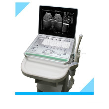 MSLPU25K Veterinär-Ultraschall für Kuh